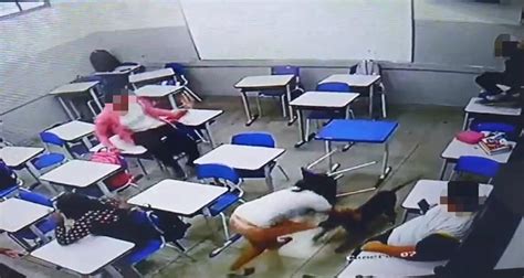 Cachorro ataca aluna dentro de sala de aula; vídeo é forte